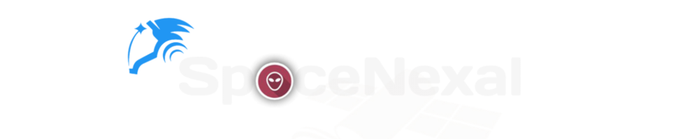 SpaceNexal Logo